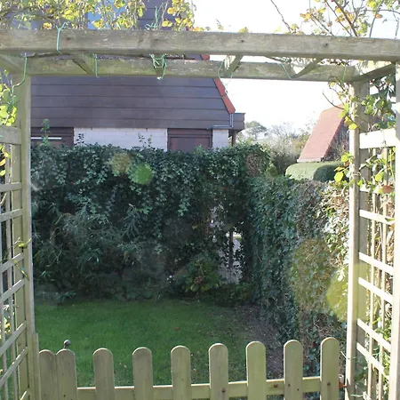 De Visdief Tatil Evi Julianadorp